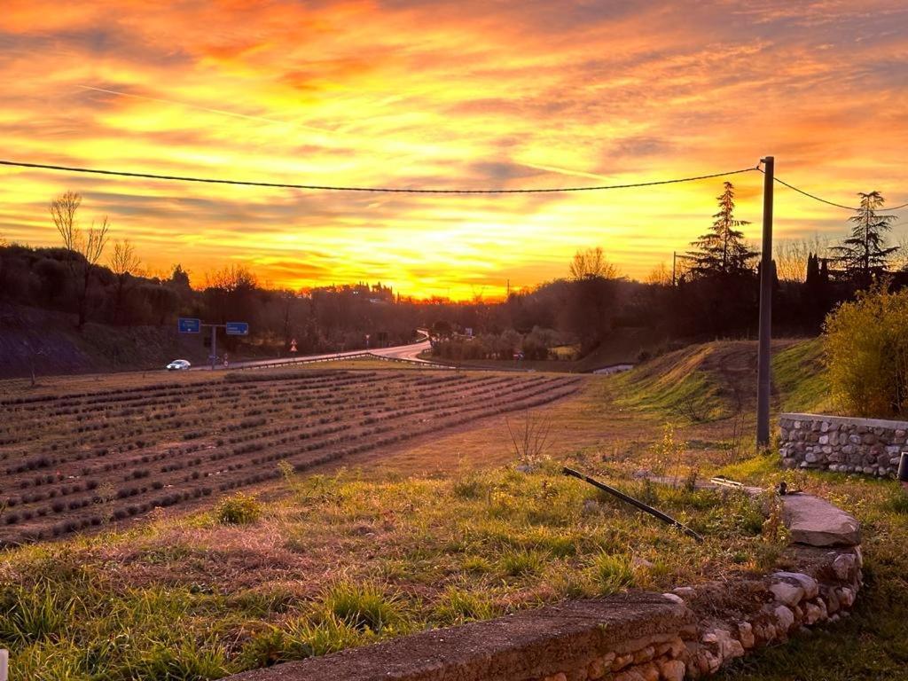 Agriturismo Al Mancino 로나토 외부 사진